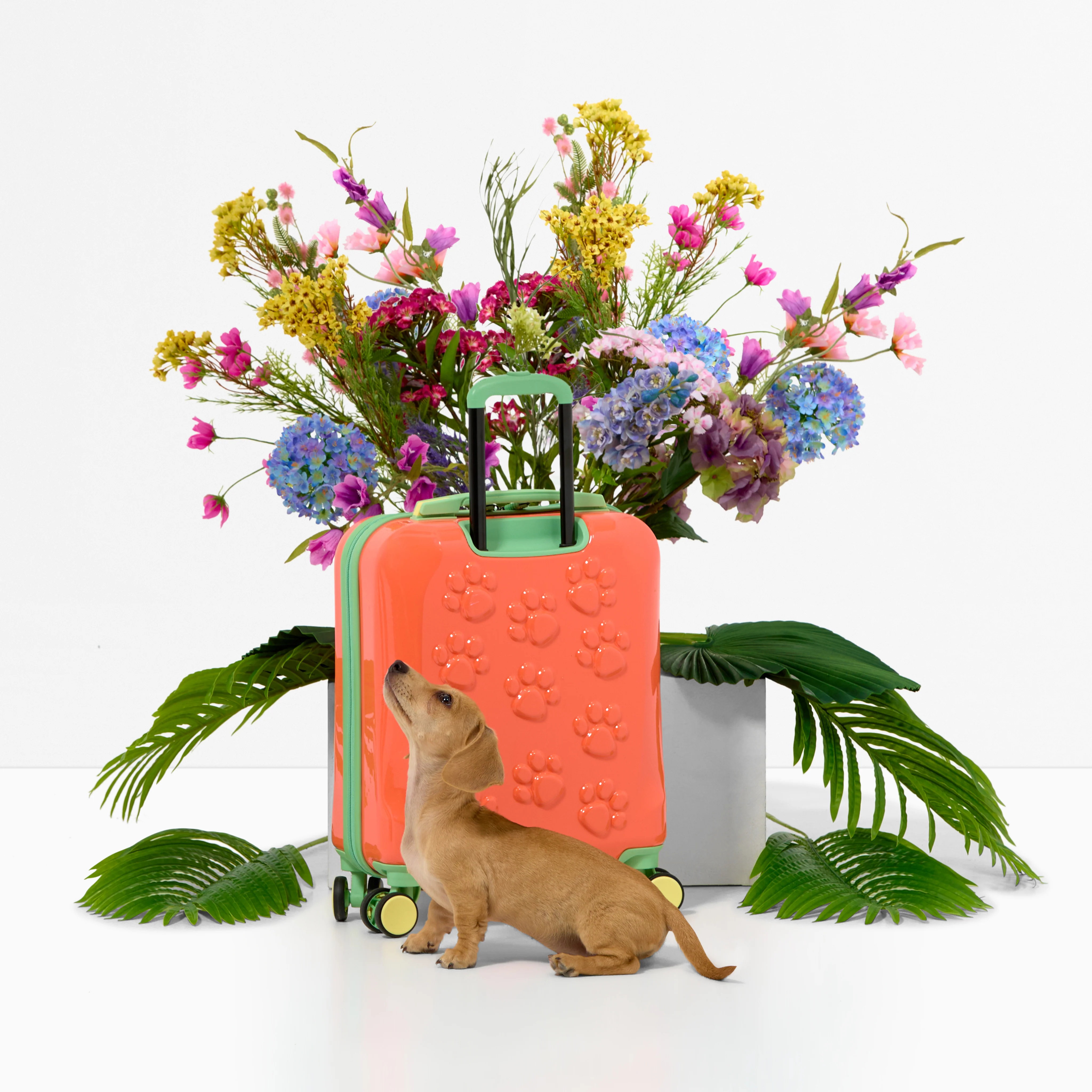 Daxie - Kids Underseat (Fusion Coral) - Image 3