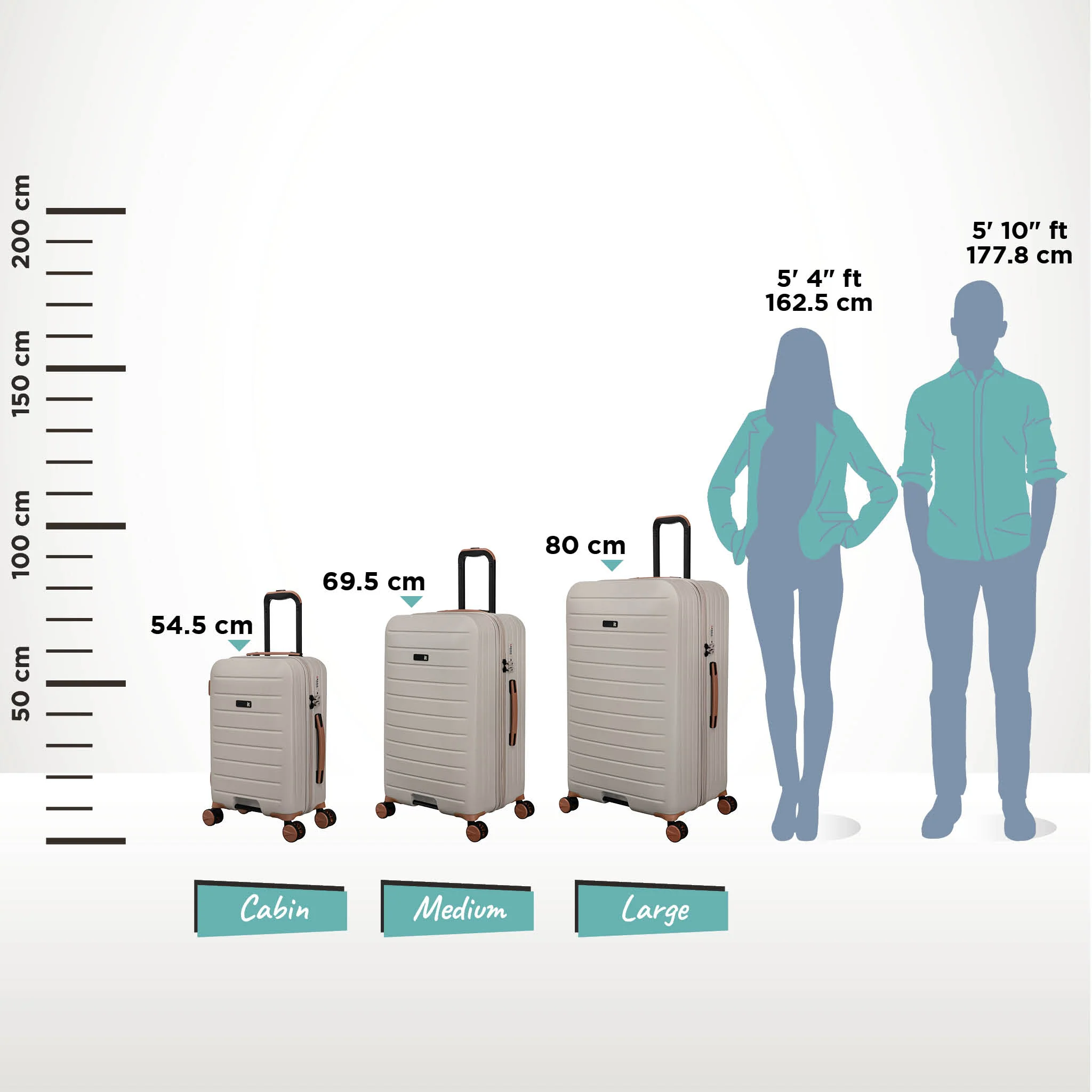 Legion Trunk - Large (Silver Lining) - Image 14