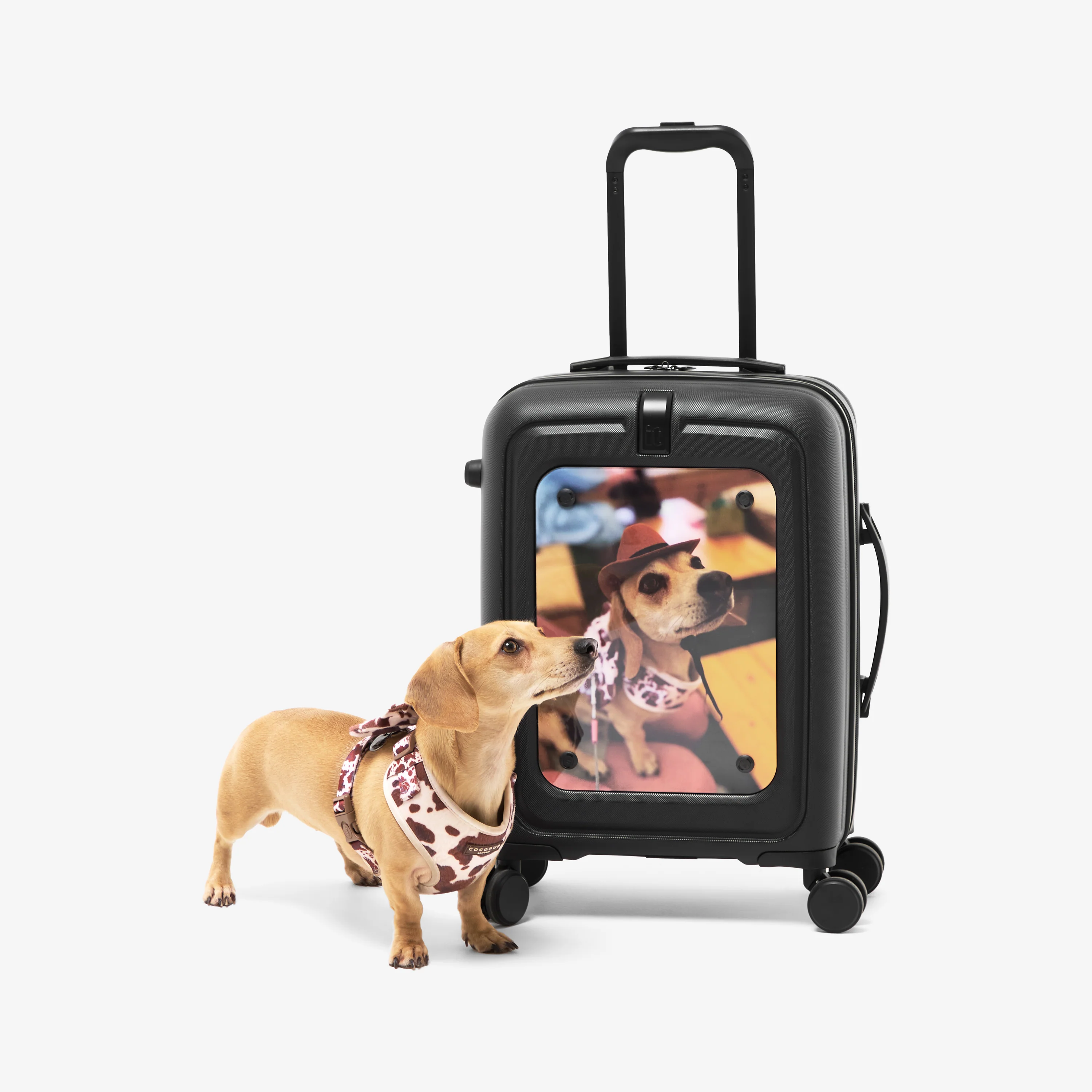 Modify - Suitcase with Personalised Panel (Cherries - Letter & Name) - Image 6